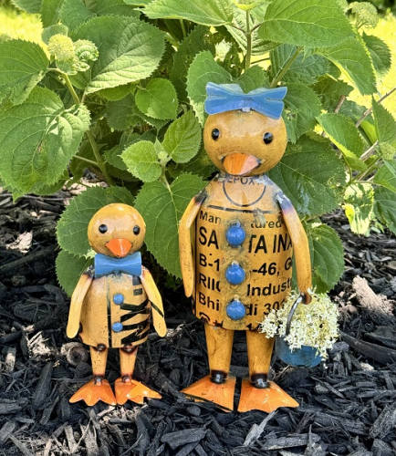 ELLA & EARL DUCKS AVAIL JAN 2026